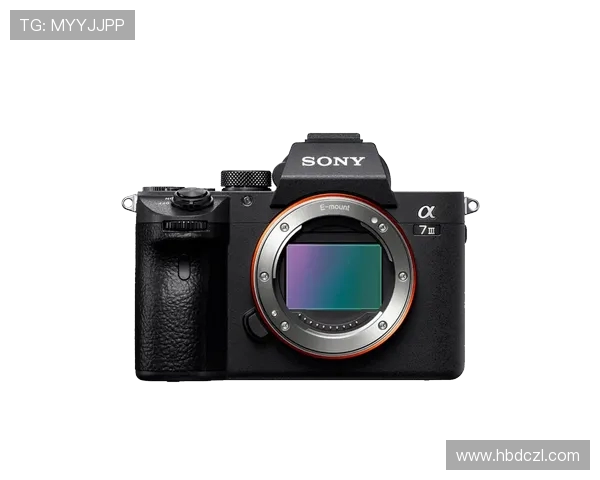 全球电竞赛事最新比分动态实时追踪与深度数据全面解析