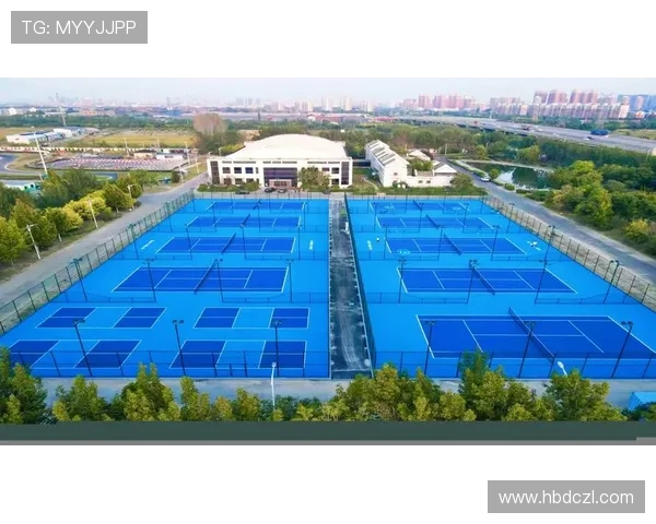 网球运动的历史演变与技术革新：从草地到硬地的全方位解析