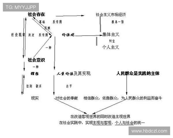 上海排球队的精神力量与团队意识探讨