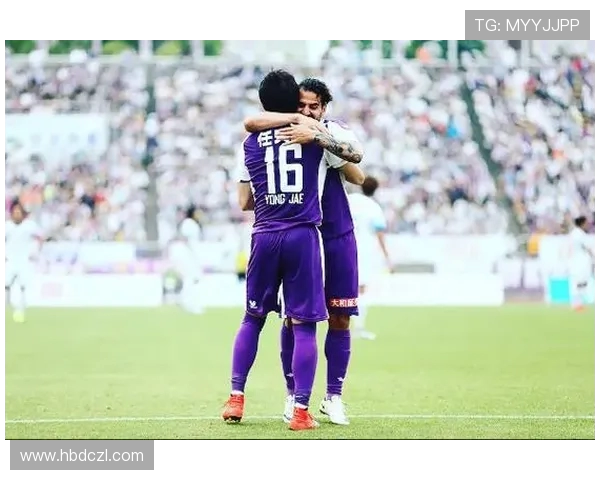 山形山神与不死鸟的决战传说揭示了力量与永恒的对抗之谜